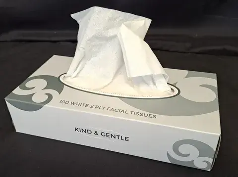 Tissues Facial 100's- Hygiene Direct